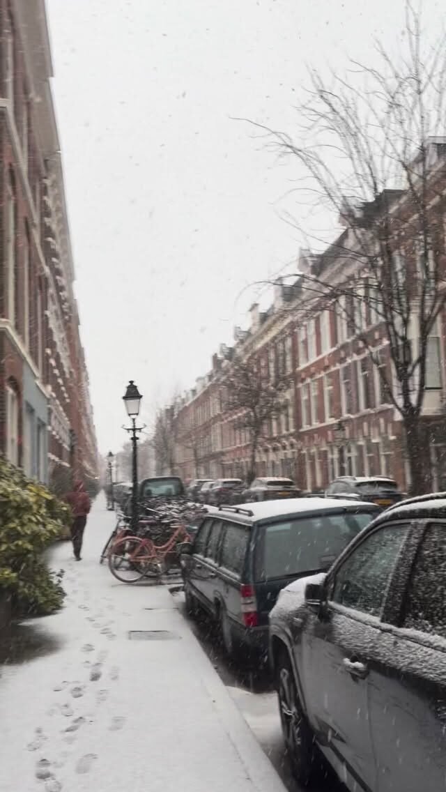 Instagram post from palettecafe.nl. This post is in position 4.